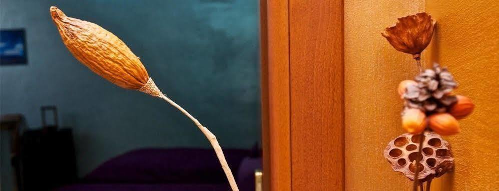Guesthouse Il Gong 로마 외부 사진